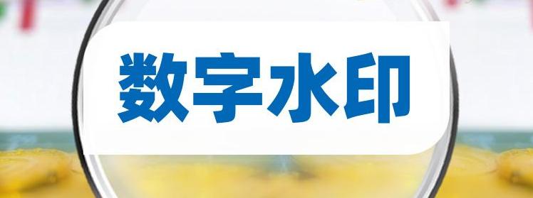发布在网上的照片，应该使用数字水印还是半隐形水印？