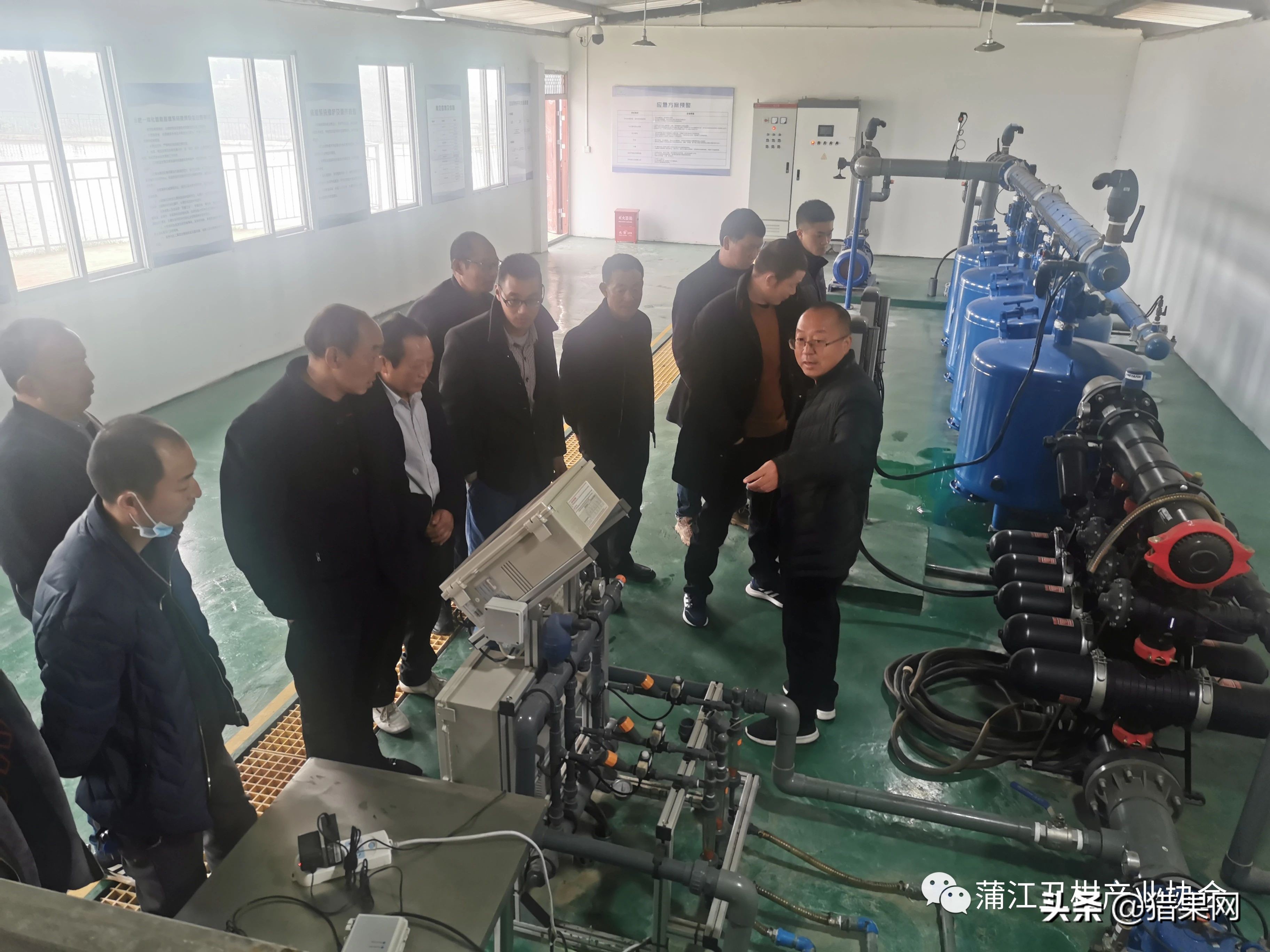 阳光一号柑橘裂果,阳光一号如何防治裂果