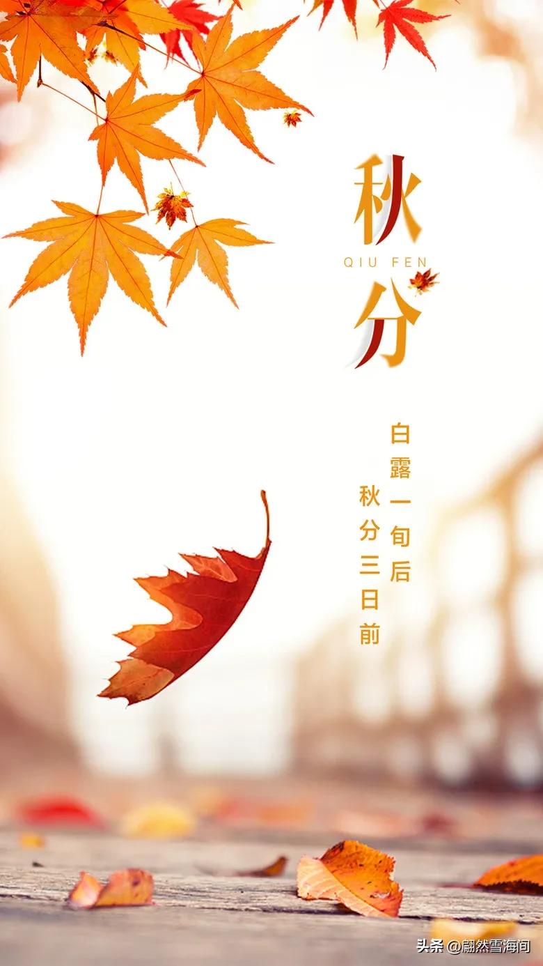 描写秋天古诗词经典鉴赏,五个描写秋天的古诗词名句