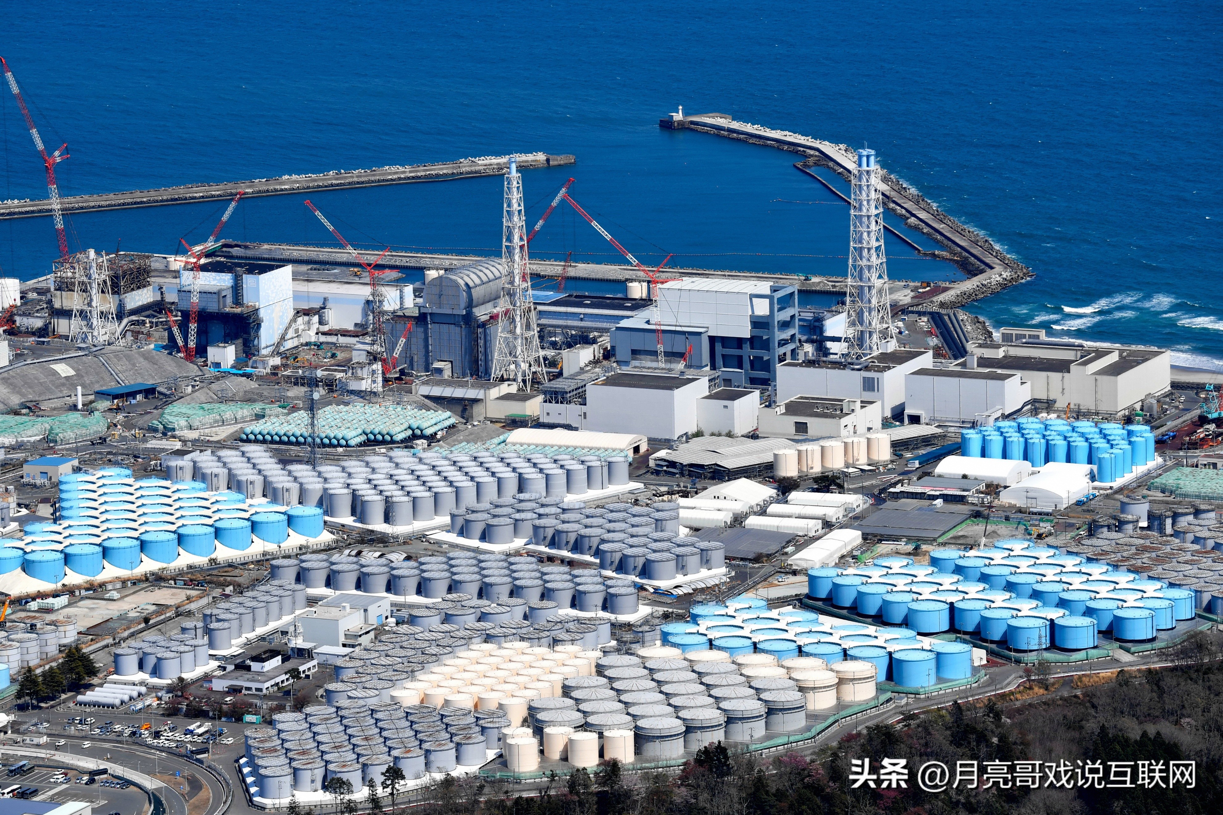 太仓港进口日本污染海鲜有什么,太仓港为什么进口日本海鲜