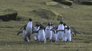 2024年番禺区民办小学收费参考,广州番禺公立小学还是私立小学好