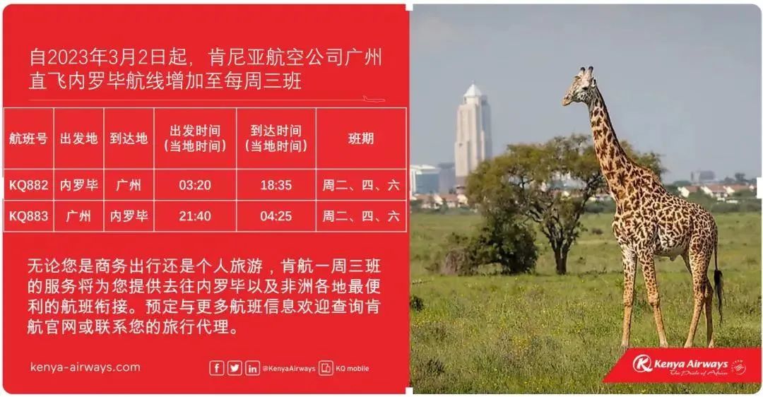 国际旅游包机复航,多航司恢复或增国际航线