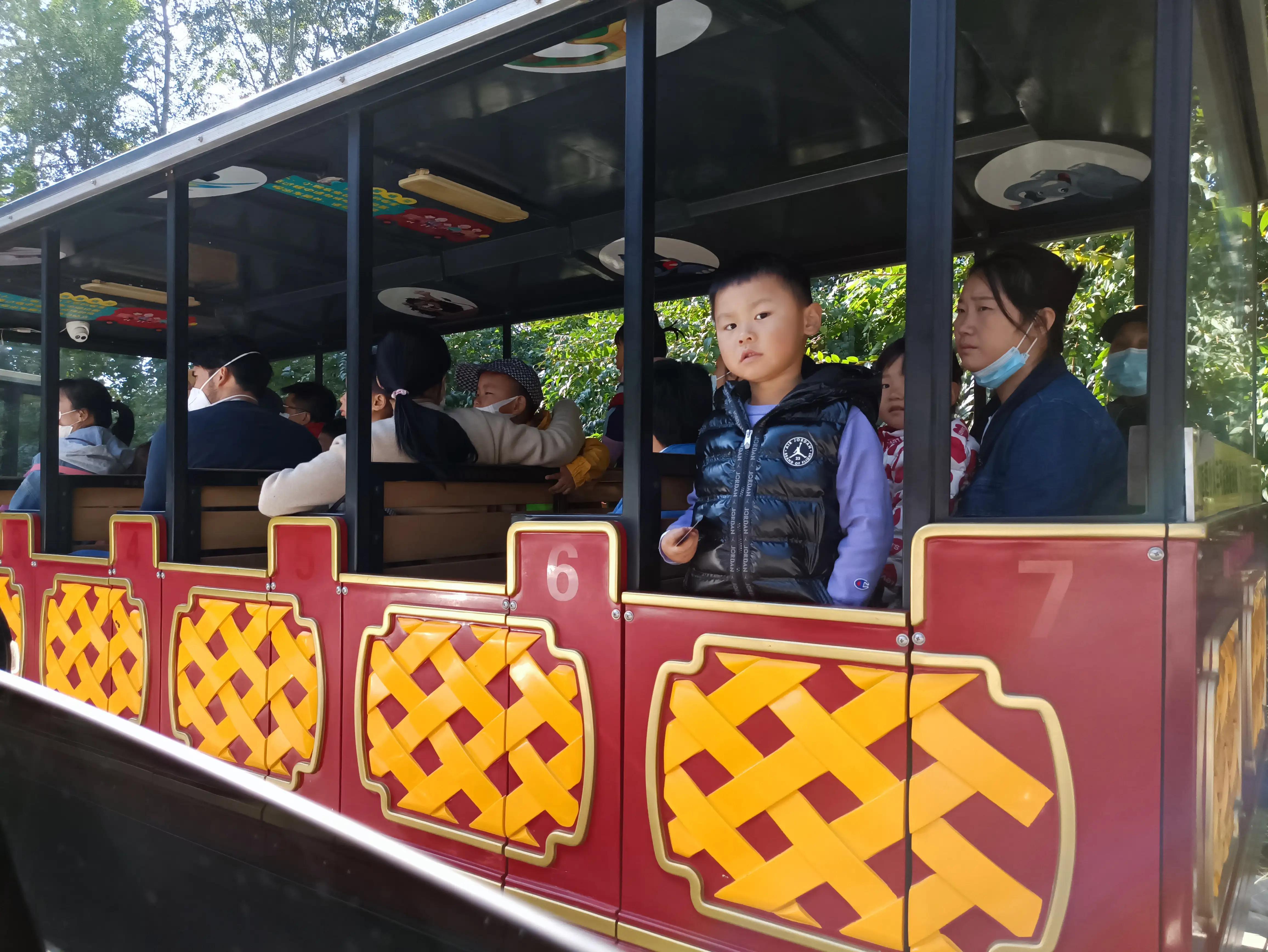 北京动物园和北京野生动物园区别,北京野生动物园狗妈妈和老虎狮子