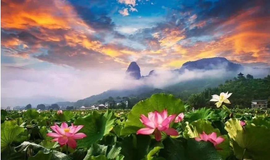 生态头条|【观察】“美丽经济”让农村财貌双全