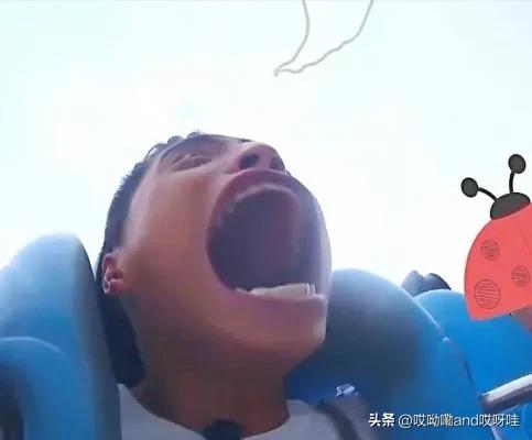 前有思聪吃热狗，后有婆孙插队，将真人做成表情包是否侵犯肖像权