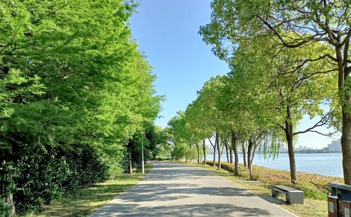 苏州十大旅游必去景点有哪些,苏州十大旅游必去景点排名