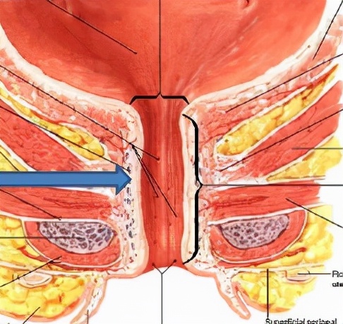 女生站着尿尿会导致尿路感染吗？频繁尿路感染背后的原因是什么？