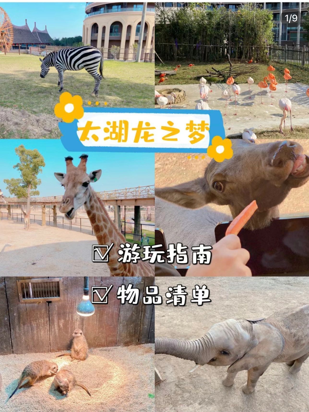 南京去桂林亲子旅行攻略,南京出发亲子游自驾五日游