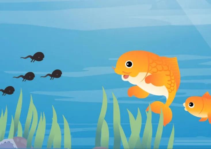 小蝌蚪找妈妈是第一部什么动画片,小蝌蚪找妈妈