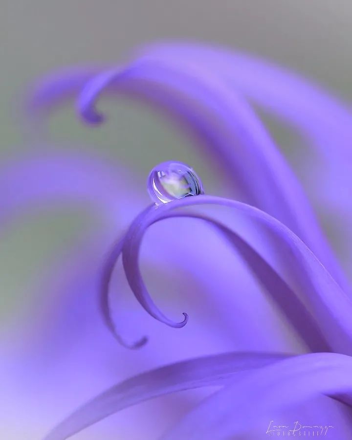 对知己的理解是什么,知己到底怎么理解