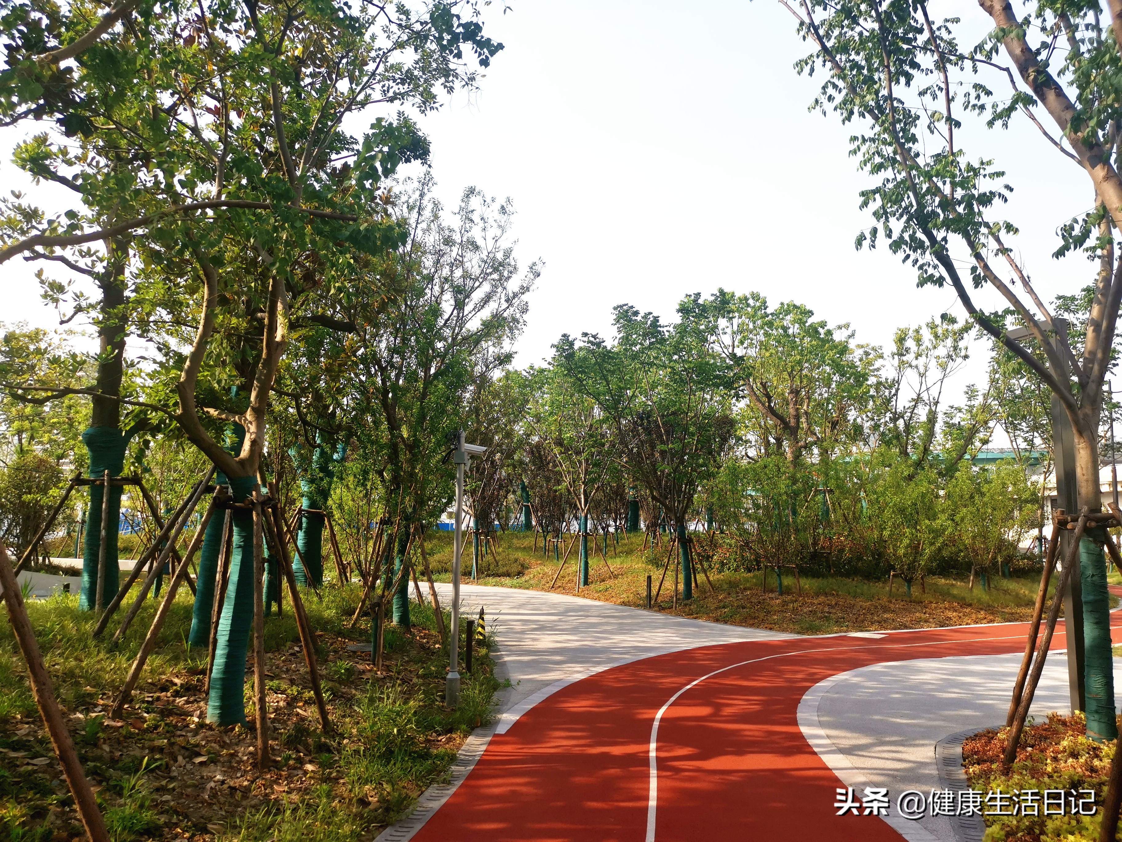 上海运动公园,上海徐汇区哪些公园可以运动