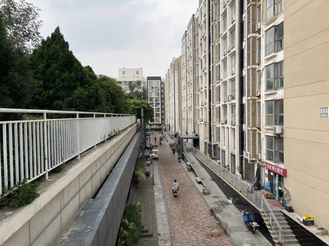 深度｜“烤验”玻璃穹顶：看起来很美，用着也要美