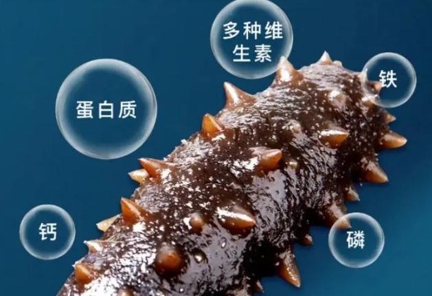 送礼送淡干海参还是即食海参,海参如何挑选高性价比品牌