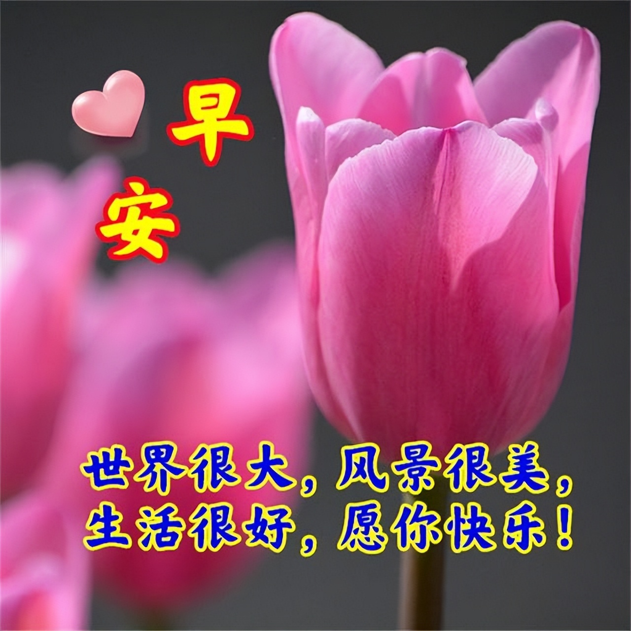 清晨太阳早安心语,早上好充满希望的一天