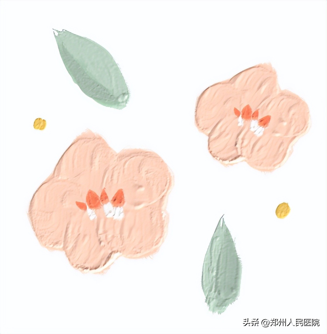 郑大一附院郑东院区建设历程,郑大一附院郑东院区发展