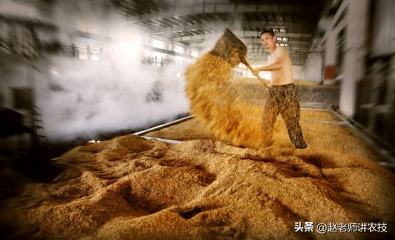 100斤粮食能酿造多少纯粮酒,100斤粮食能酿多少斤53度的酒