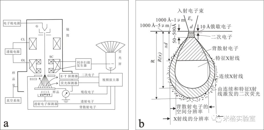 扫描电镜sem主要应用,sem扫描电镜怎么调曝光