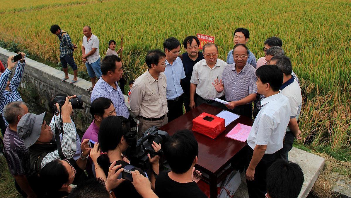 乡村运营赋能乡村振兴,深耕乡村工作助力乡村振兴