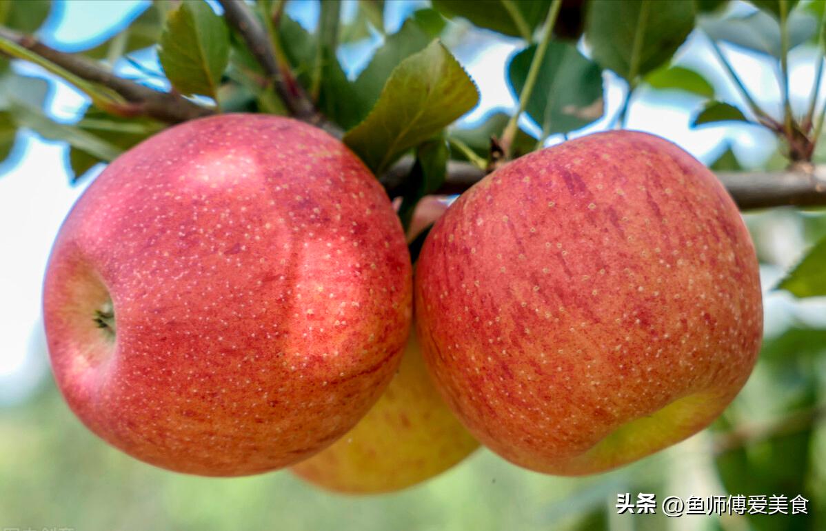 秋天十大最好吃的水果排名前十名,山东最好的十大水果