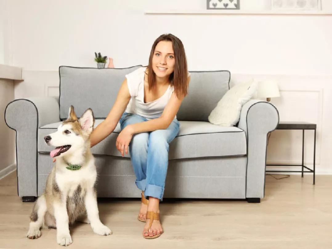 路上遇到恶犬自救方法,路上遇到恶犬怎么自救