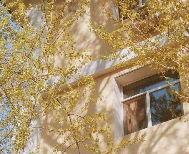 有关顾湘的文案 (顾湘文案)