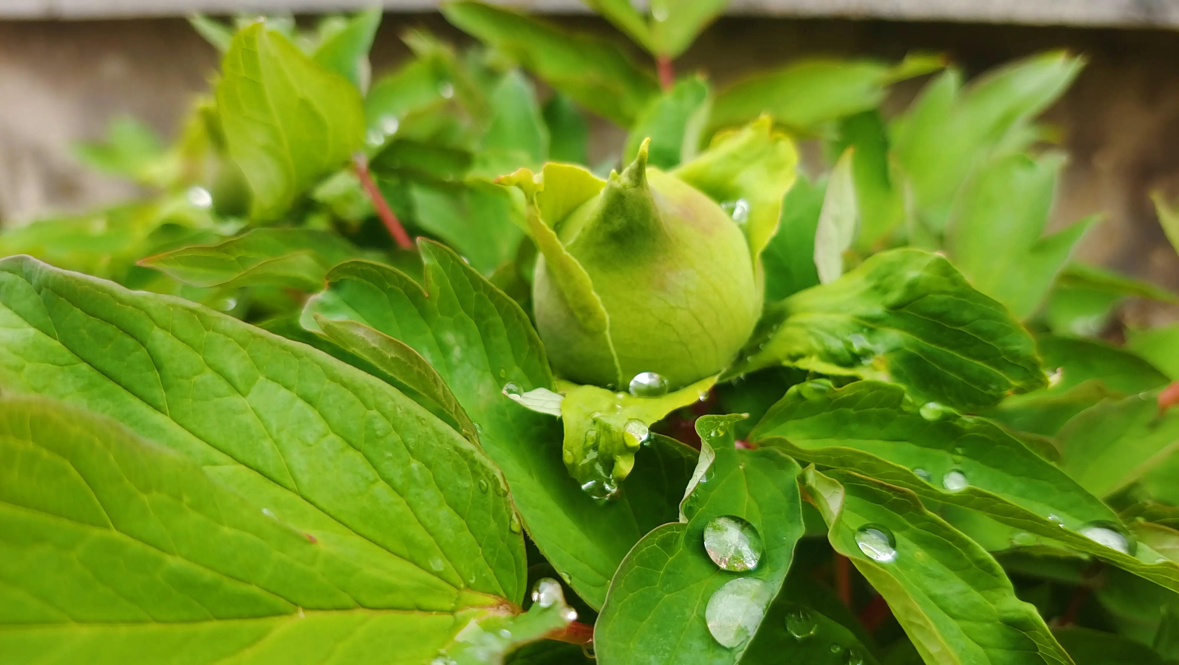解封后你最想做什么,解封后你最想去的地方