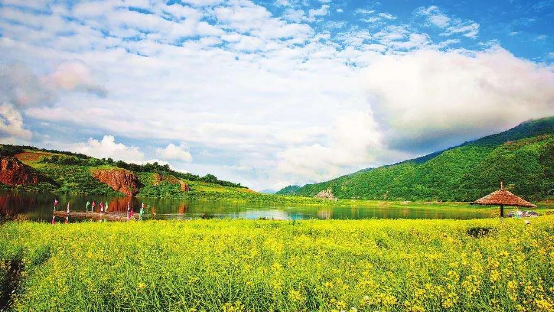 赏花旅游种什么花,春季去公园踏青上百种花让人眼花