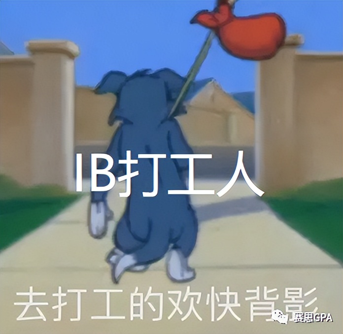 宝藏规划~IBer必备的2023美本申请关键信息