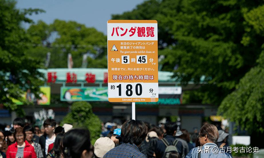 旅日大熊猫回国日本人反应,四只旅日大熊猫陆续归国