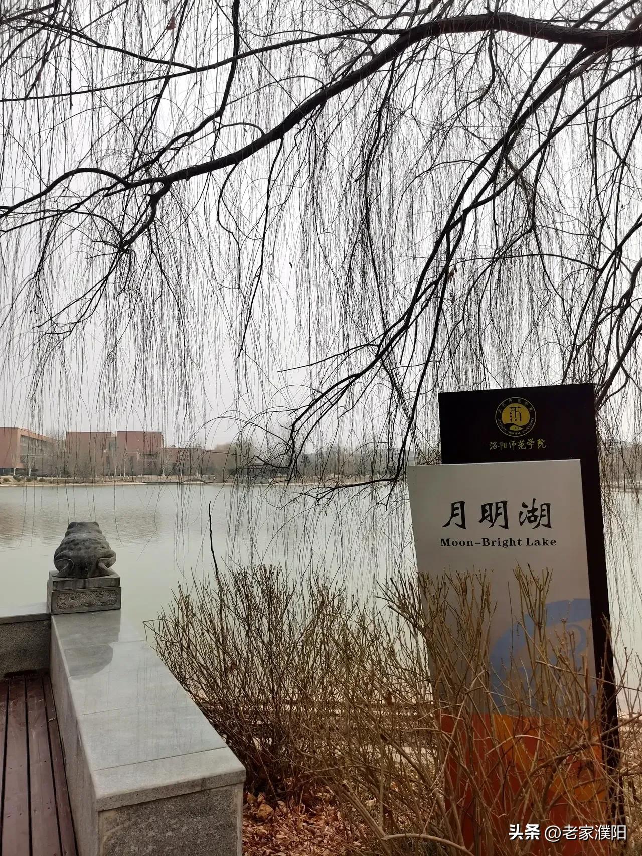 以前的洛阳vs现在的洛阳,曾经的洛阳大学