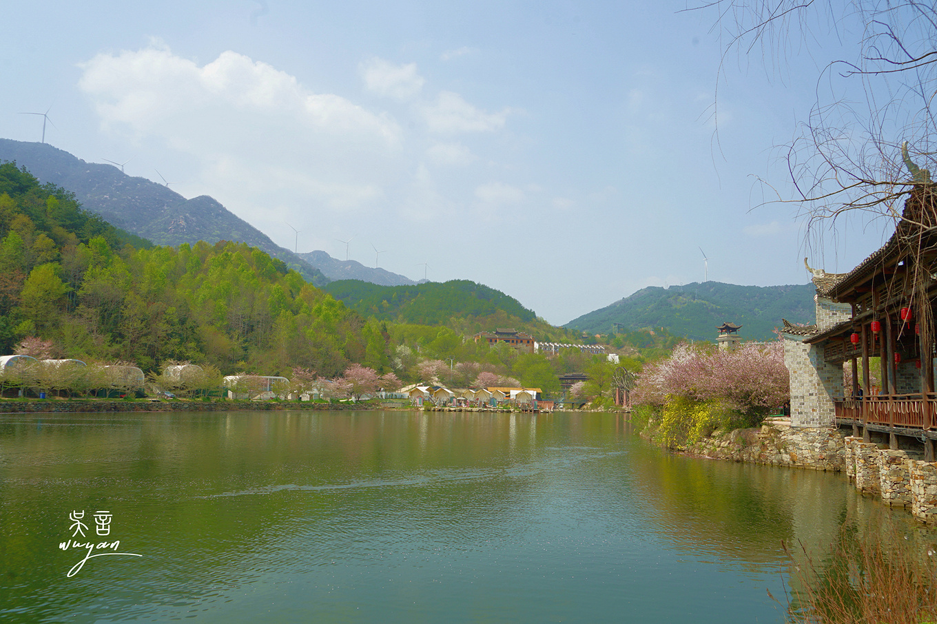 武汉看樱花半日游,武汉看樱花一日游