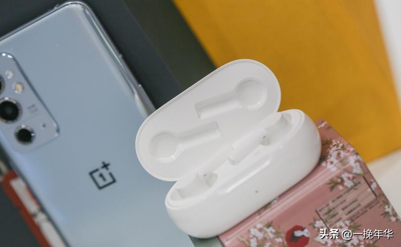 真正的无线蓝牙耳机是什么样子,真正的无线蓝牙耳机是什么样的