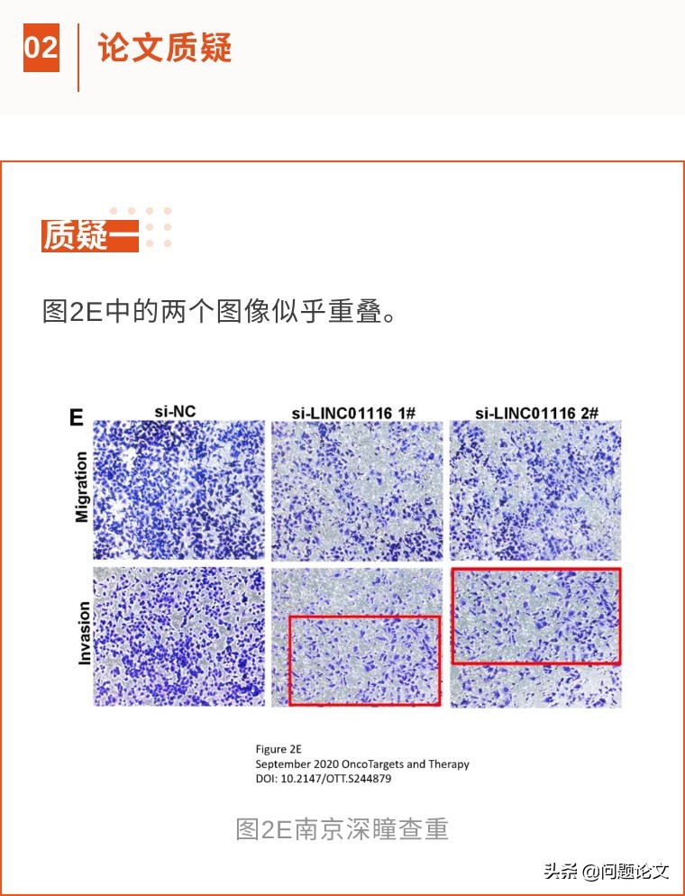 尺子是真的所以实验都是真的，南京医科大学第二附属医院回应质疑