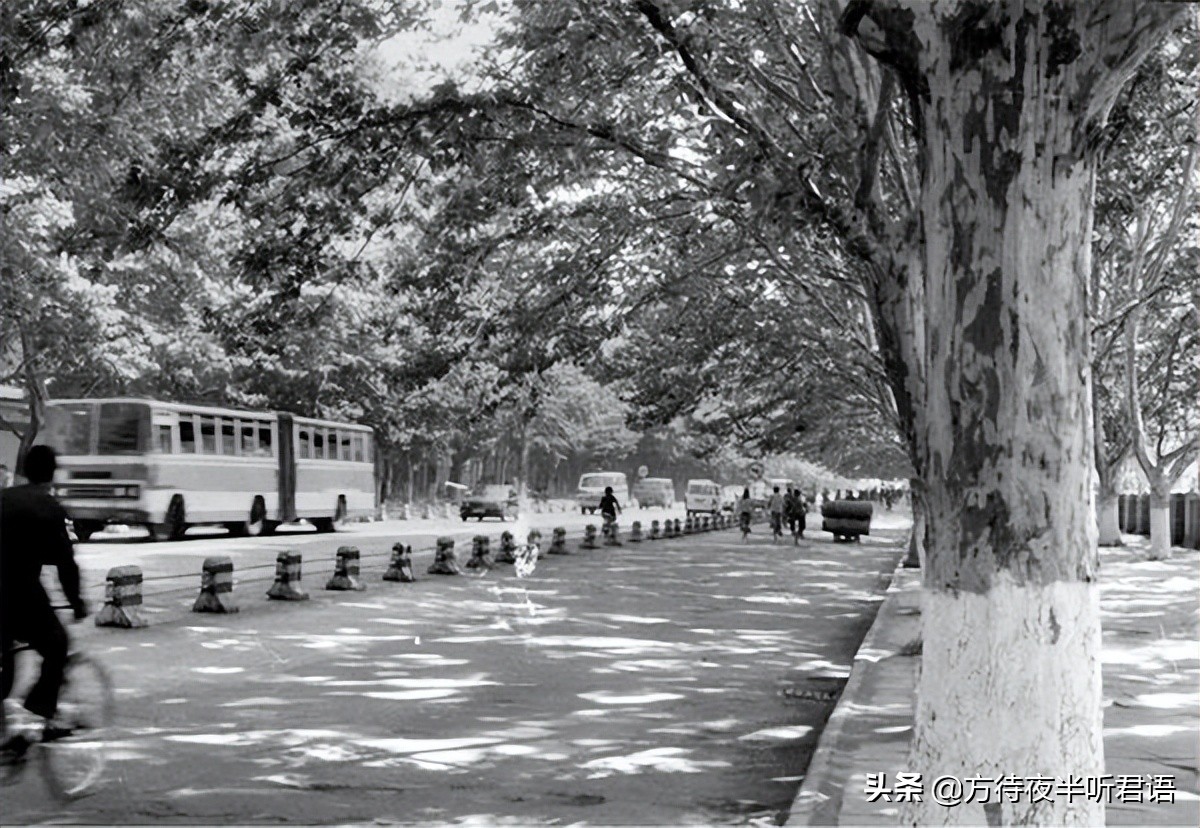 1980年代郑州老照片,八十年代郑州老视频