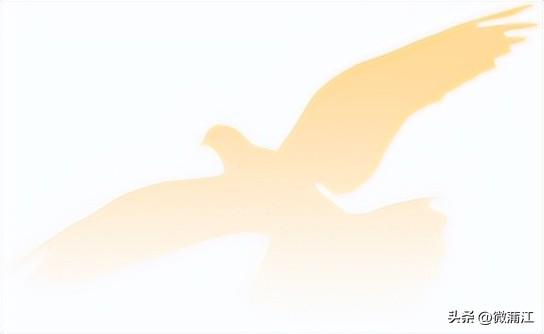 110中国人民警察节成都,成都110人民警察节