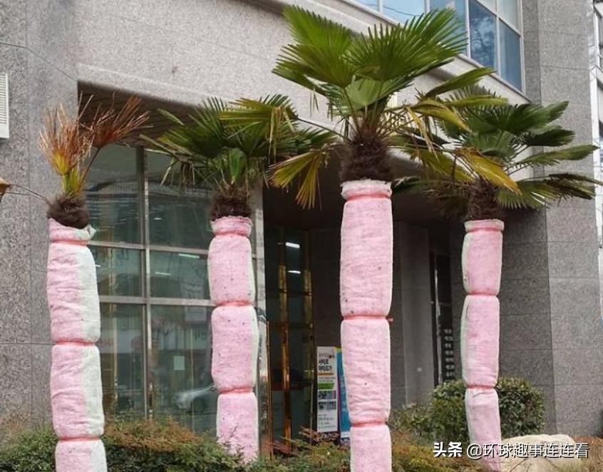 50张惊艳世界的图片,100张颠覆三观图片