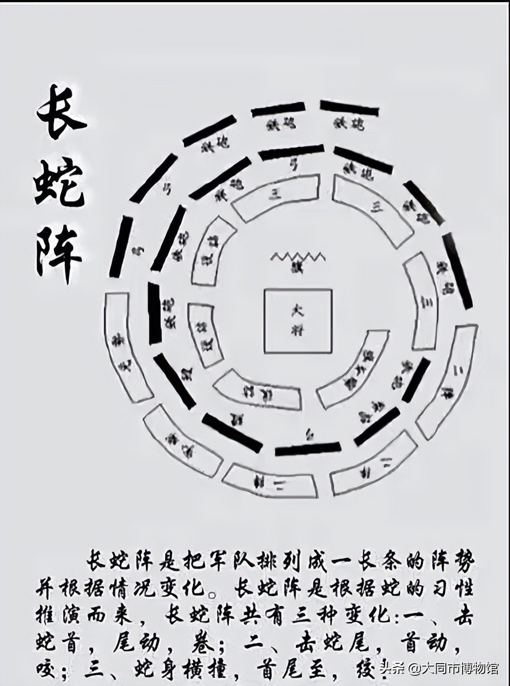十二生肖辰龙纹身图,十二生肖哪个动物有纹