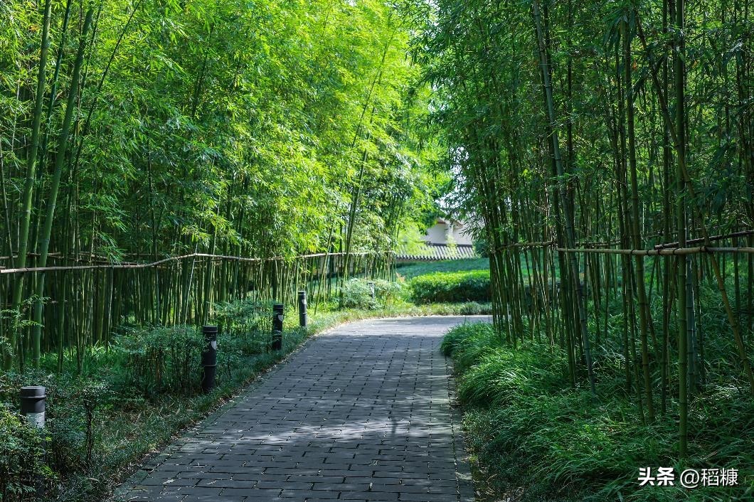 六善酒店什么档次,六善酒店内瀑布景观