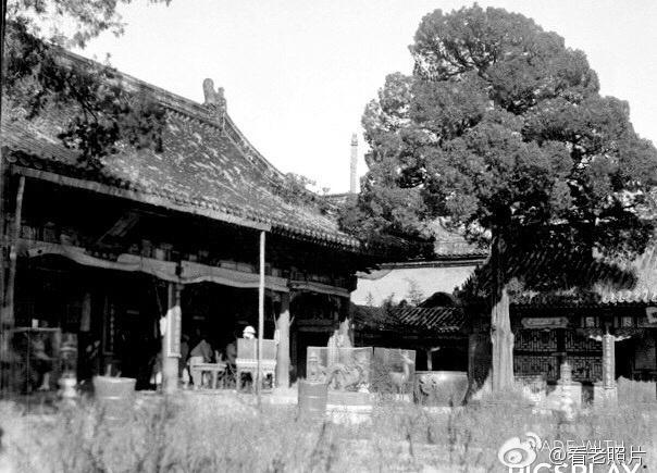 日军兽行：当着男人的面玷污了女儿，临走还残忍割下妻子乳房