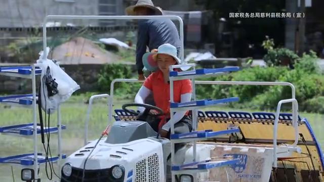 希望的田野歌曲完整版,希望的田野原声独唱