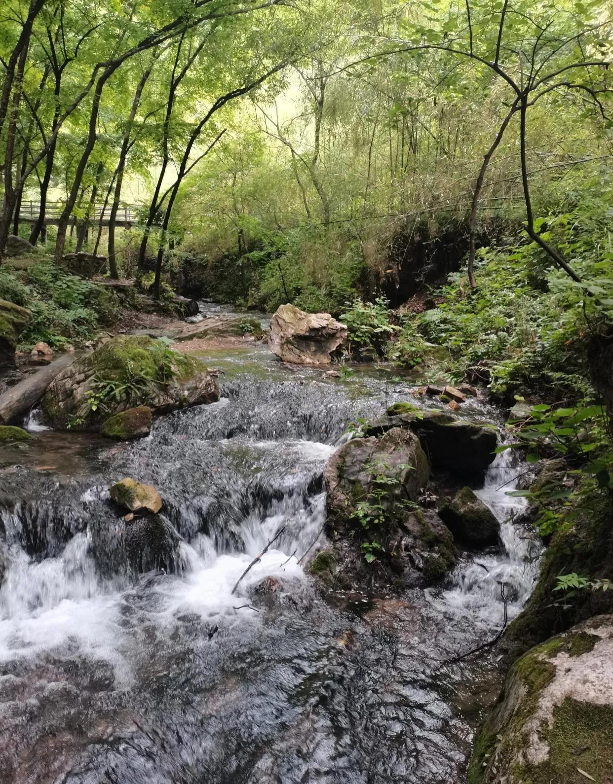 重渡沟风景区门票价格,重渡沟风景区