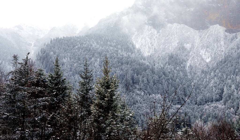 山东的八大冷知识,15个有趣的山东冷知识