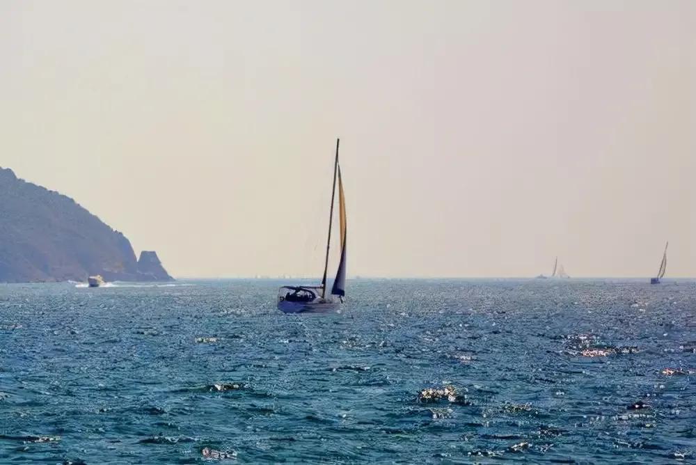 诗歌的风格从哪些角度来分析,诗歌的语言风格详解及举例