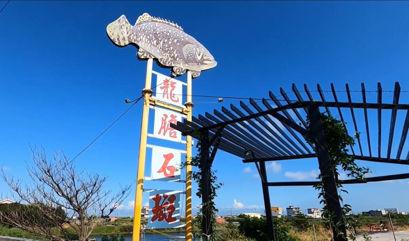 广东活溪石斑鱼多少钱一斤,湛江石斑鱼多少钱一斤