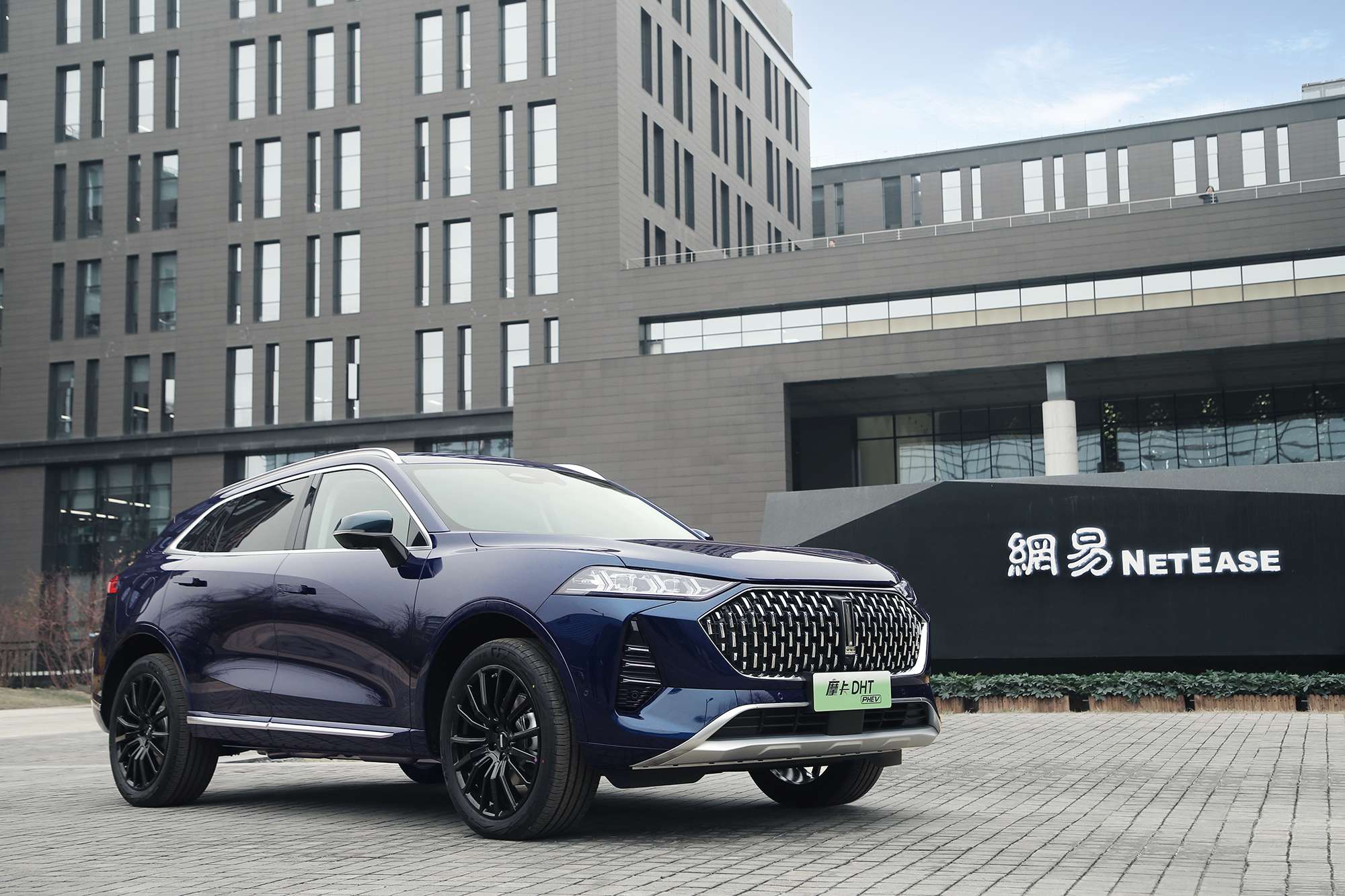 当咖啡遇见摩卡：醇香中的“0焦虑空间”