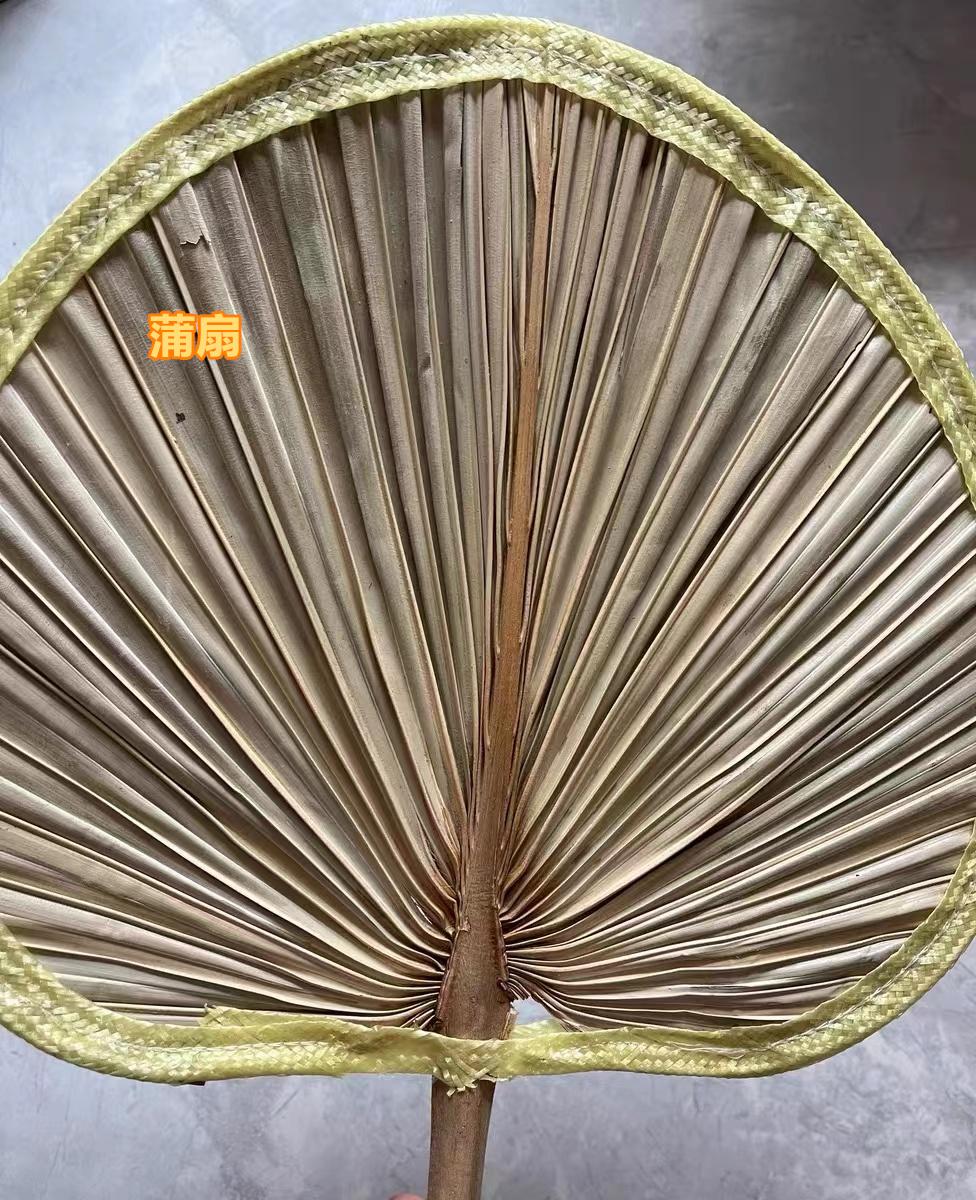 降温神器太实用了,目前最好的降温神器