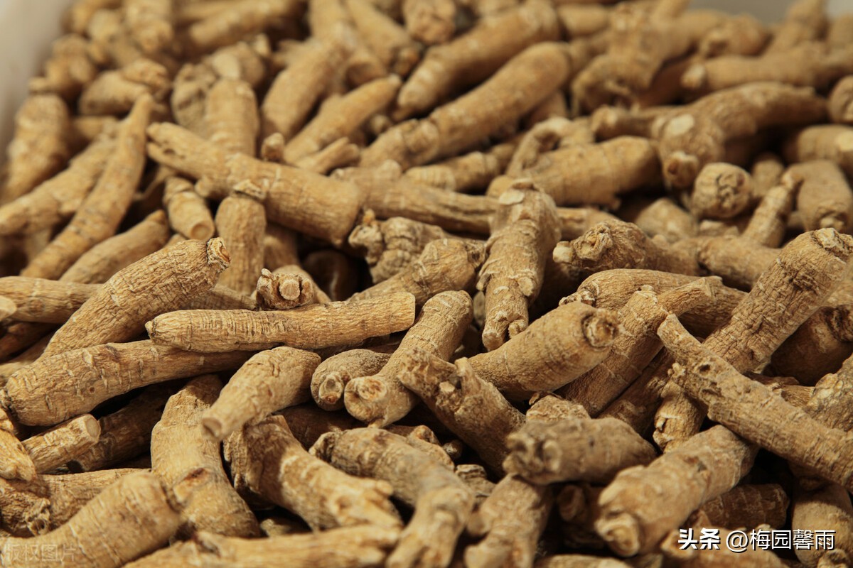 提高免疫力吃冬虫夏草还是西洋参,提高免疫力吃高丽参还是西洋参好