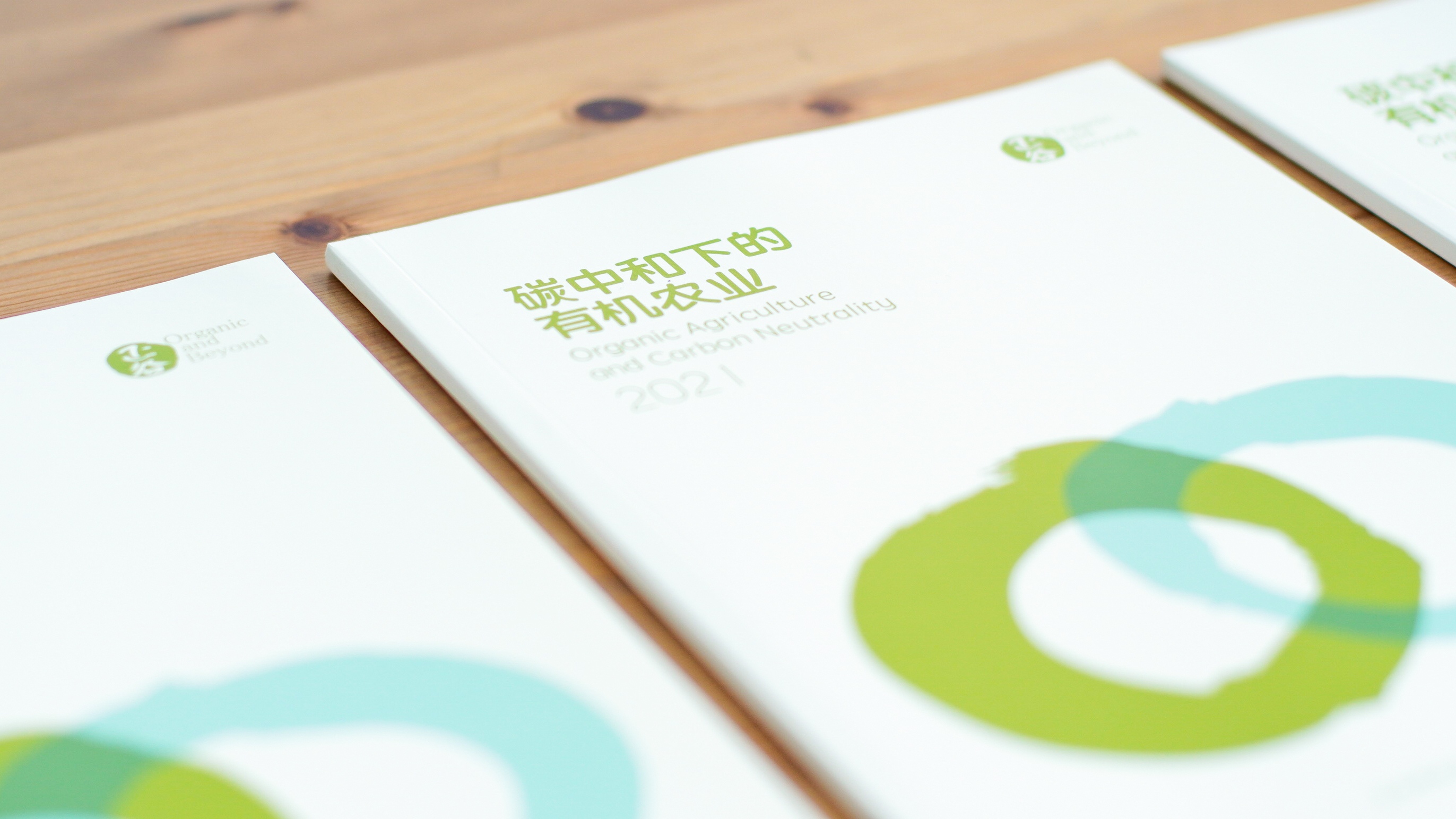 养活8000万人需要多少粮食,养活6亿人每年需要多少吨粮食