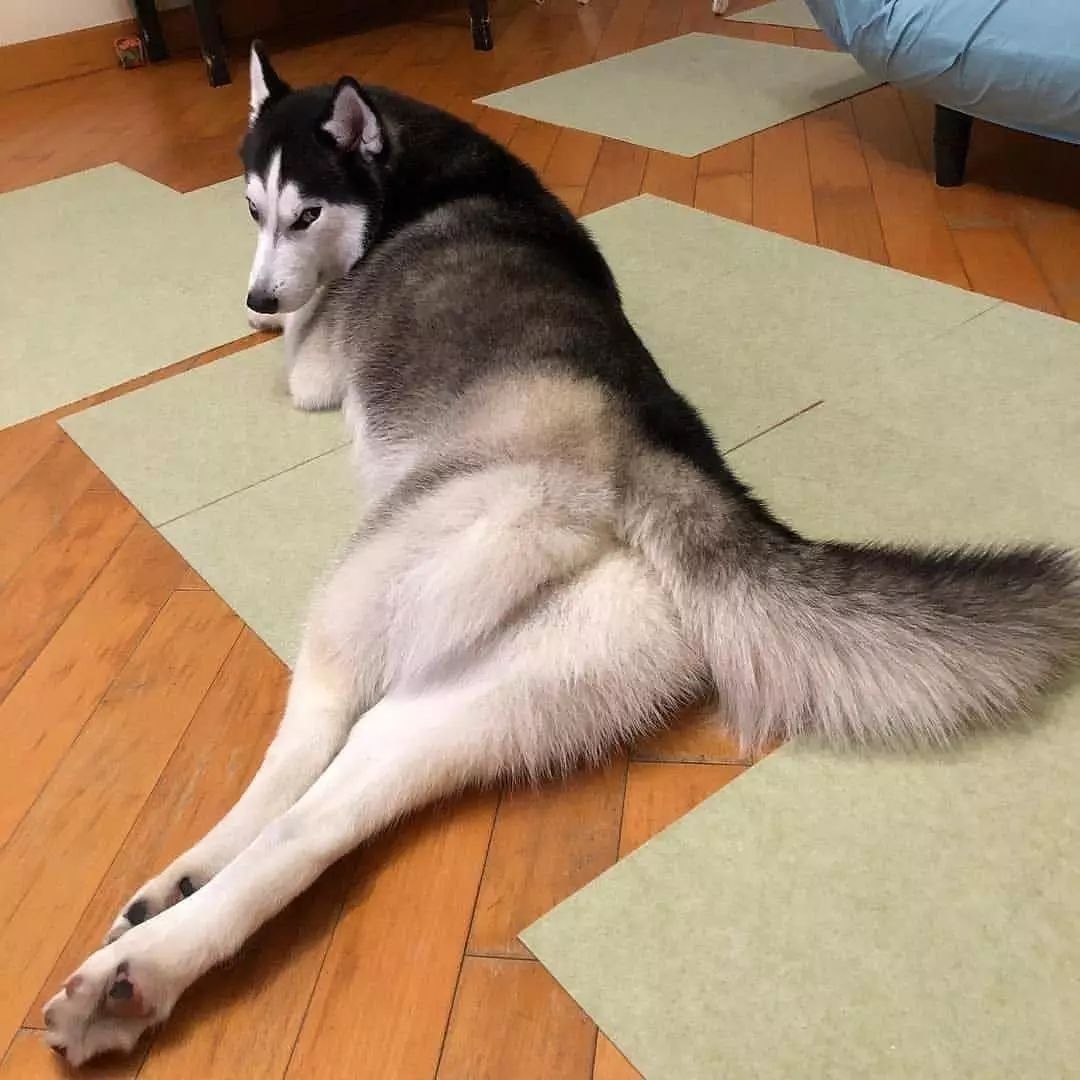 娱乐圈假新闻经典案例,娱乐圈十大假新闻