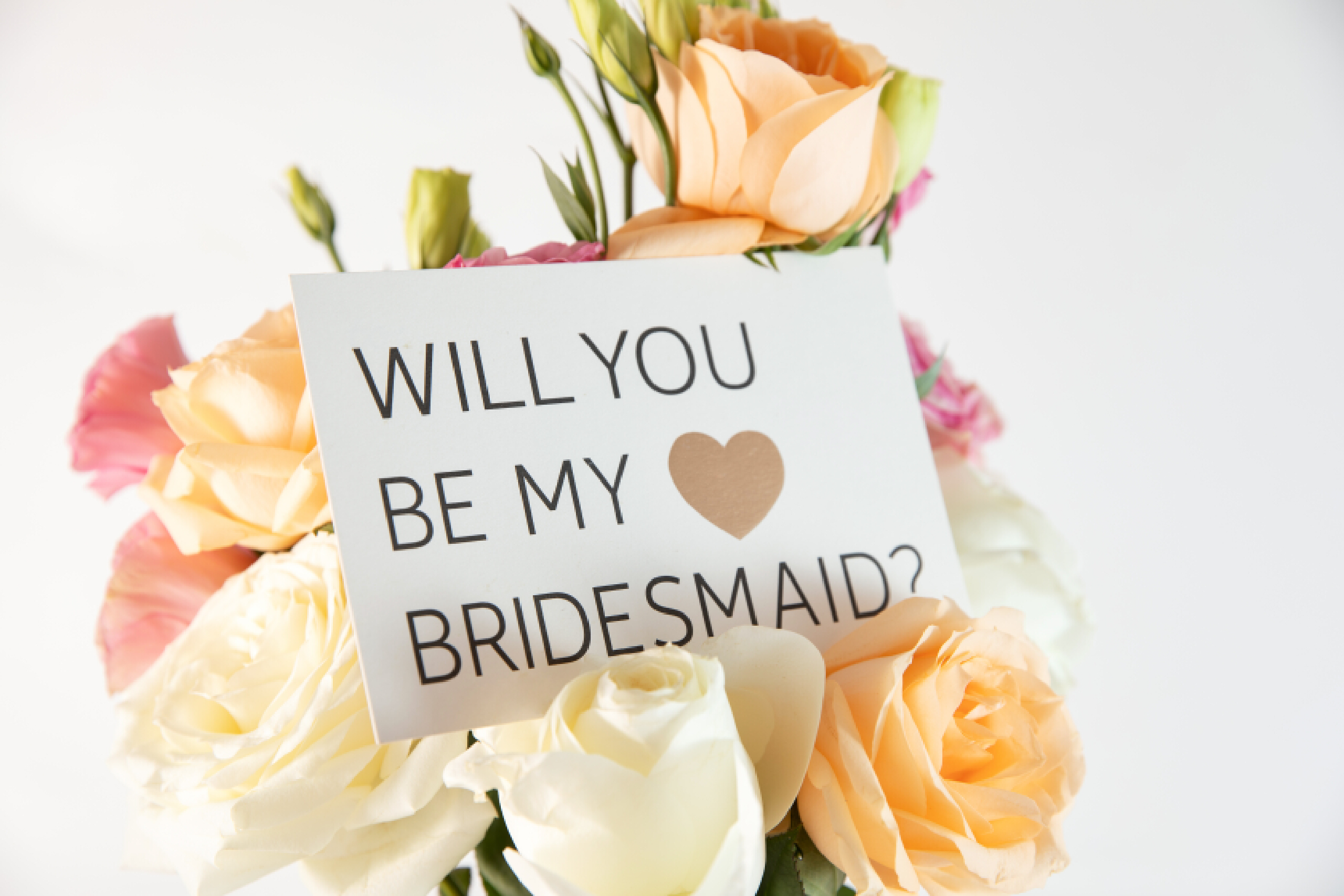 花的物语丨知道了花的这些特殊寓意,下次还会乱送吗?